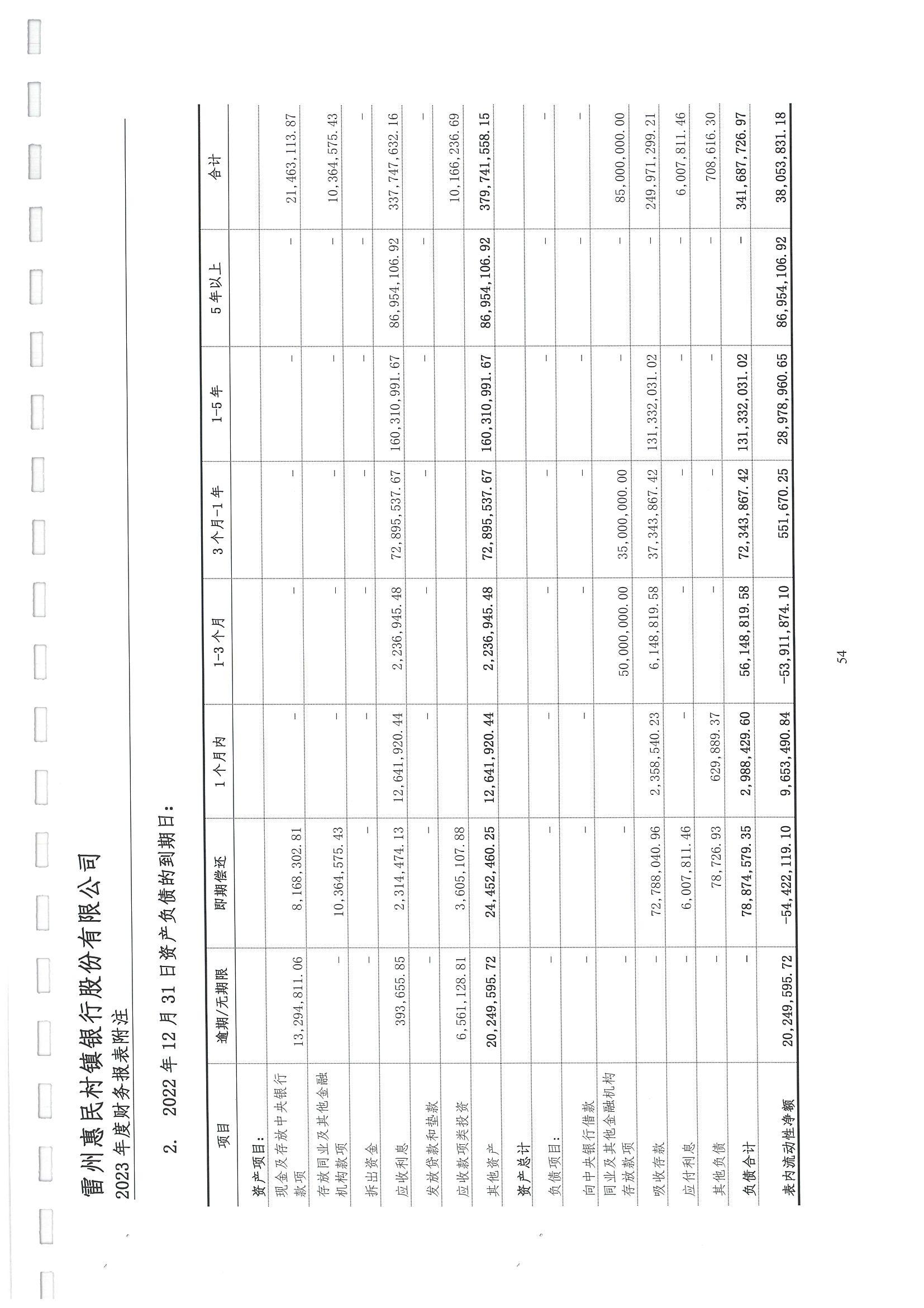 附件2.雷州惠民村镇银行股份有限公司2023年度审计报告_55.jpg