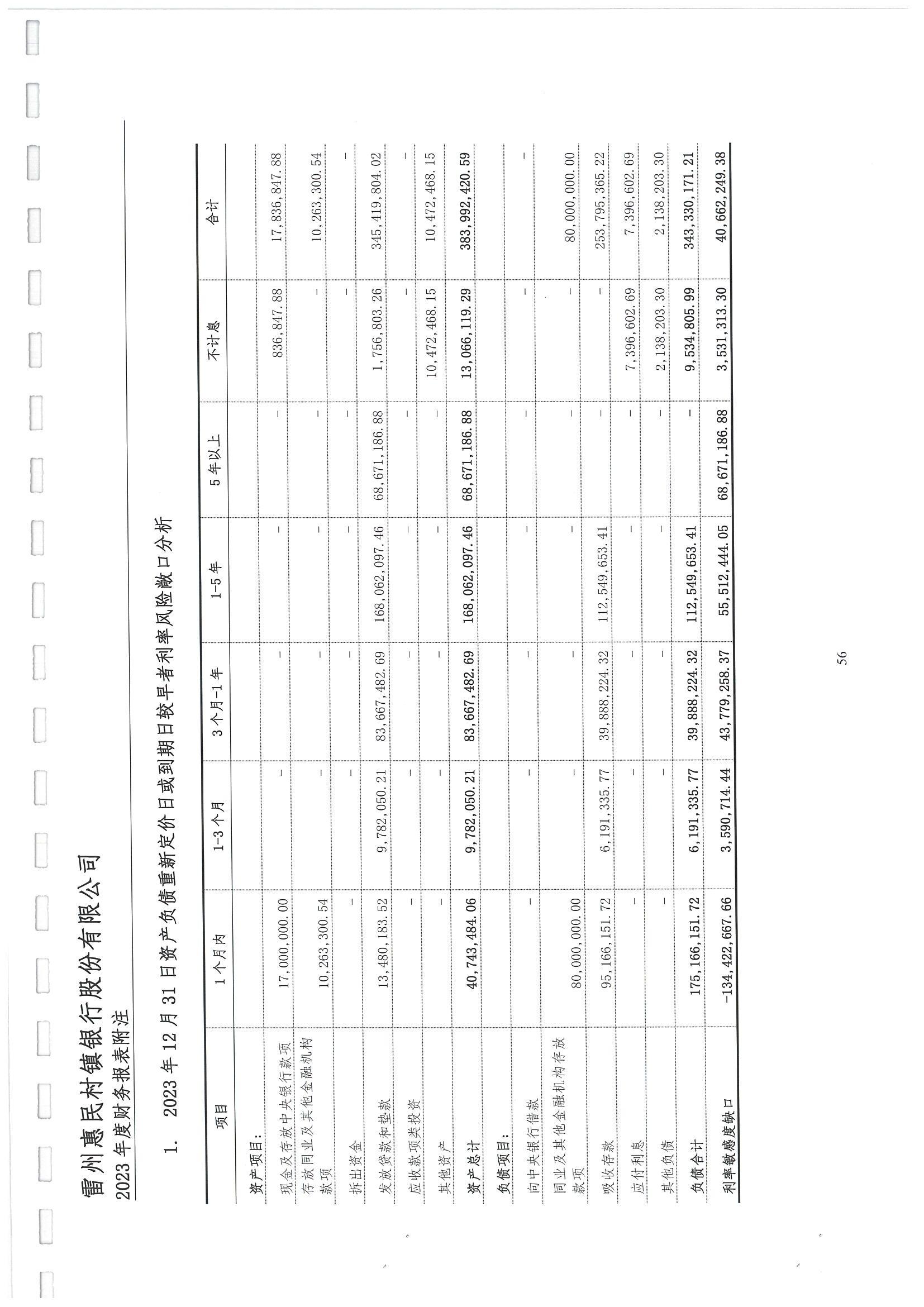 附件2.雷州惠民村镇银行股份有限公司2023年度审计报告_57.jpg